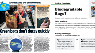 Topical Tuesdays Article Plastic