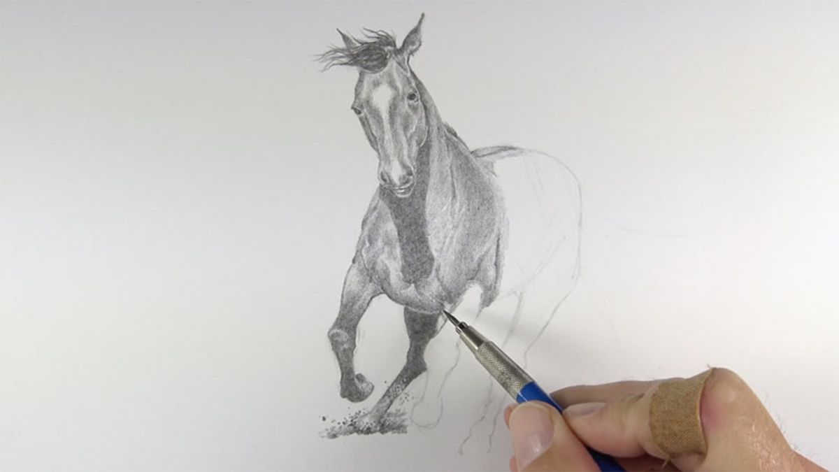 How to draw a horse's head. Step-by-step drawing tutorial.