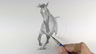 how to draw a horse - Someone drawing a horse. 