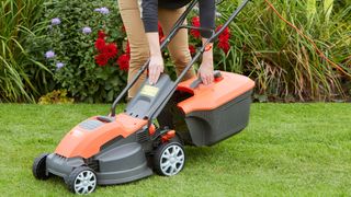 flymo lawnmower in garden