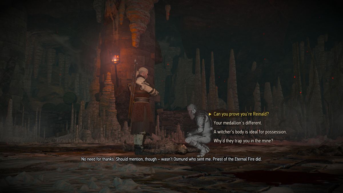 The witcher 3 Reinald's fate