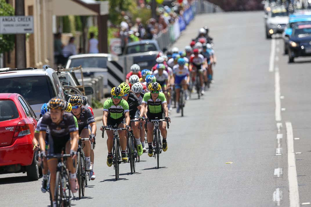 The peloton strung out