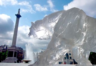 Ice Bear - Nelson's Column