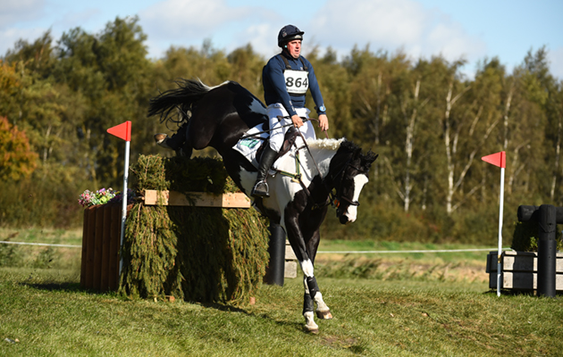 THE ARTIST ALMOST FAMOUS in Adv Section R of the Little Downham (3) Horse Trials near Ely in Cambridgeshire in the UK on 1st October 2018