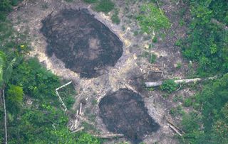 These burnt communal houses of uncontacted Indians were seen in December 2016 and could be signs of another massacre in the so-called Uncontacted Frontier.