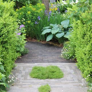 A lush green garden, made up of hedged borders, paving and moss at RHS Chelsea Flower Show
