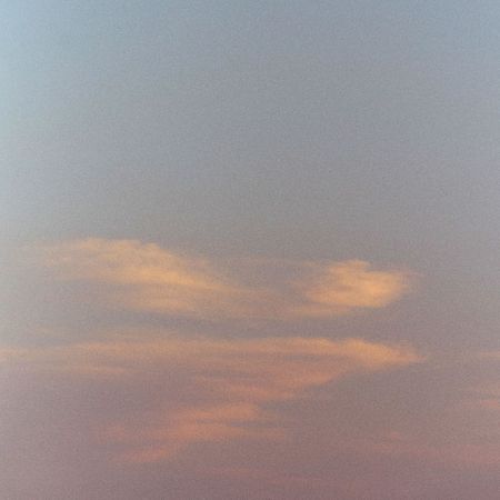A beach, flowers in a meadow, and a pink and blue sunset