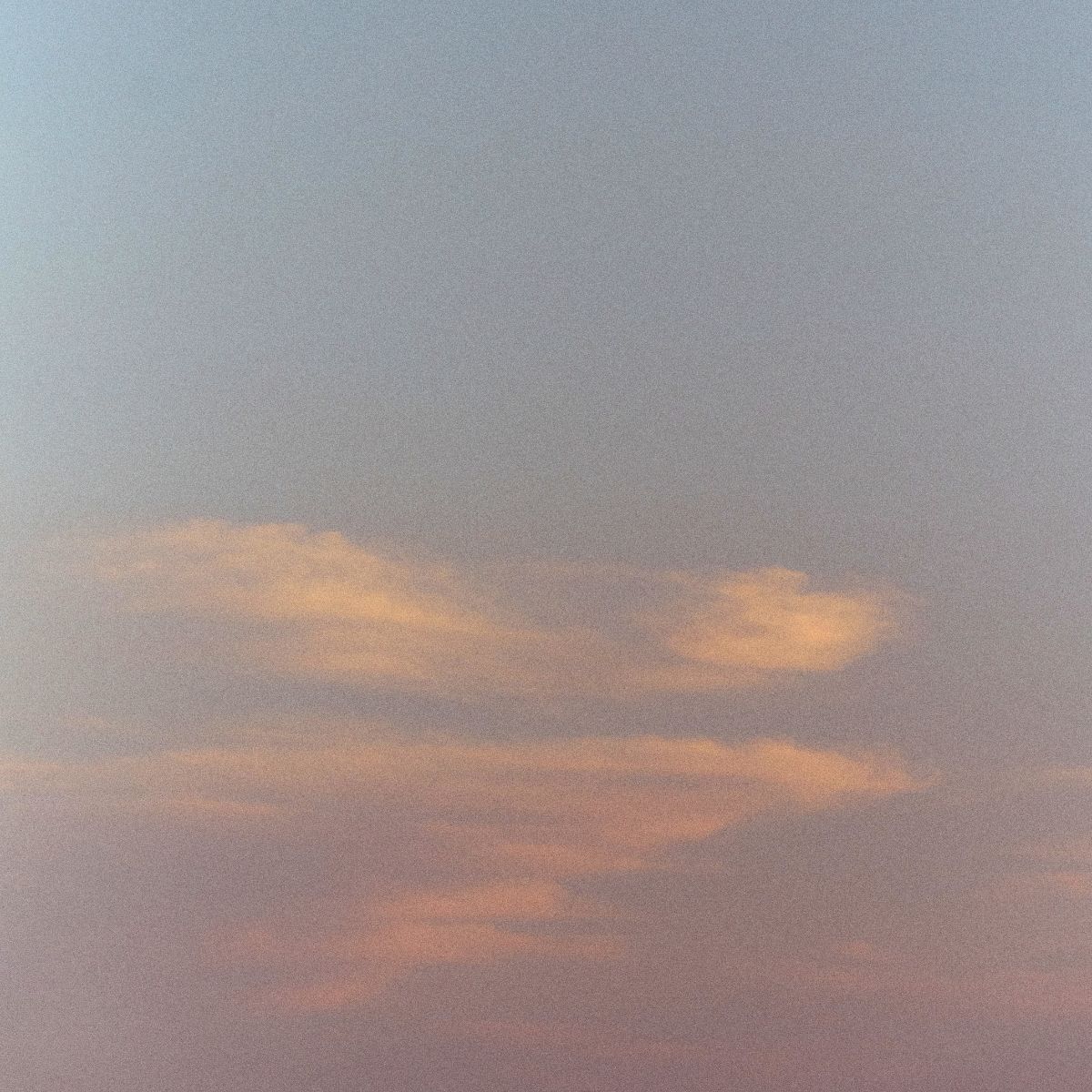 A beach, flowers in a meadow, and a pink and blue sunset