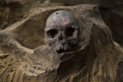 Westminster Abbey skeleton