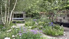 Chelsea Flower Show 2025, layered planting in borders
