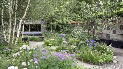 Chelsea Flower Show 2025, layered planting in borders