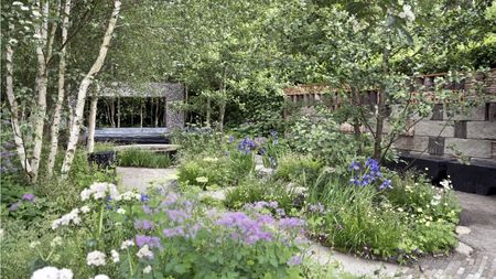 Chelsea Flower Show 2025, layered planting in borders