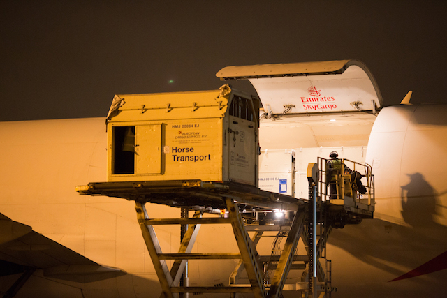 First-Horses-Arrive-Rio-150.jpg