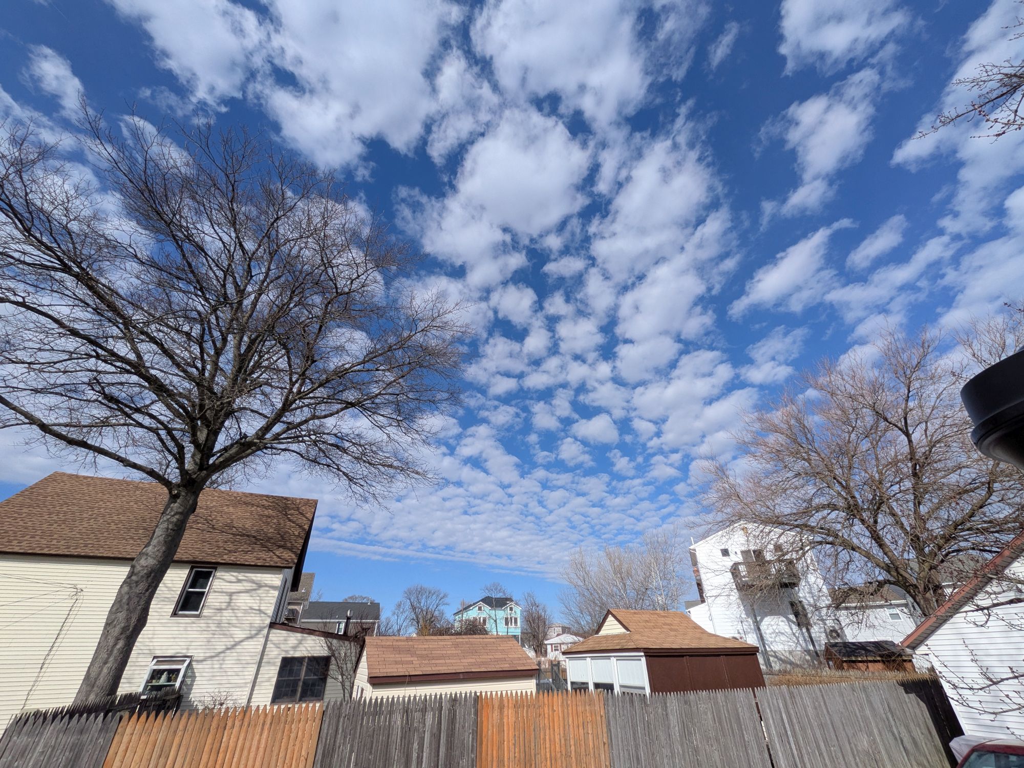 Google Pixel 10a camera sample.