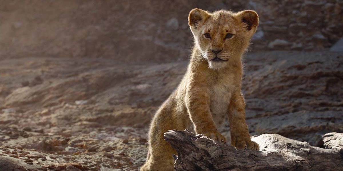 New Lion King Video Reveals How Stunning CGI Made Pride Rock | Cinemablend