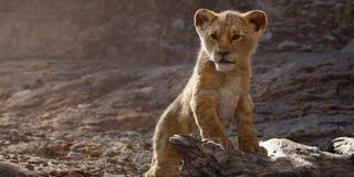 photo-realistic baby Simba in Jon Favreau's The Lion King