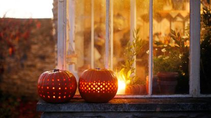 Carved Pumpkins, Smiling, on a Table Out of Doors Facing and Side