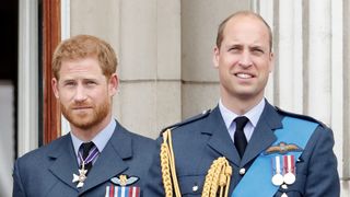 Prince Harry and Prince William stand together in uniform.