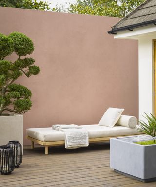 dusky pink wall with lounger, planters and topiary