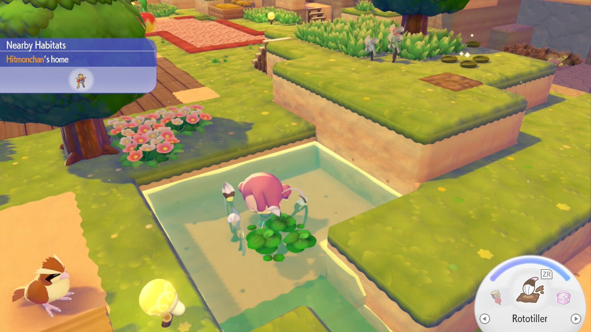 Trying to use rototiler on duckweed in Pokemon Pokopia