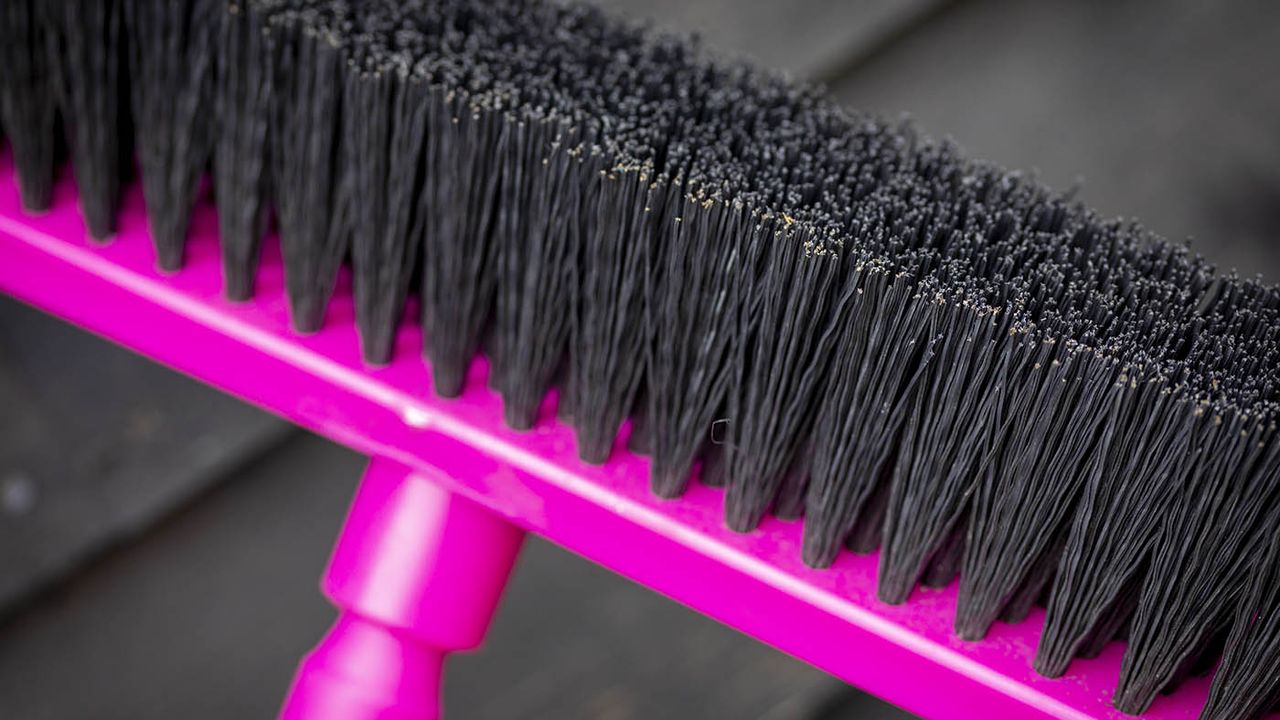 Close up of pink Harold Moore stable and yard outdoor broom