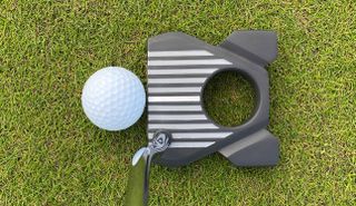 Zebra AIT 3 Putter