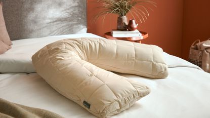 V-Shaped Washable Wool Pillow