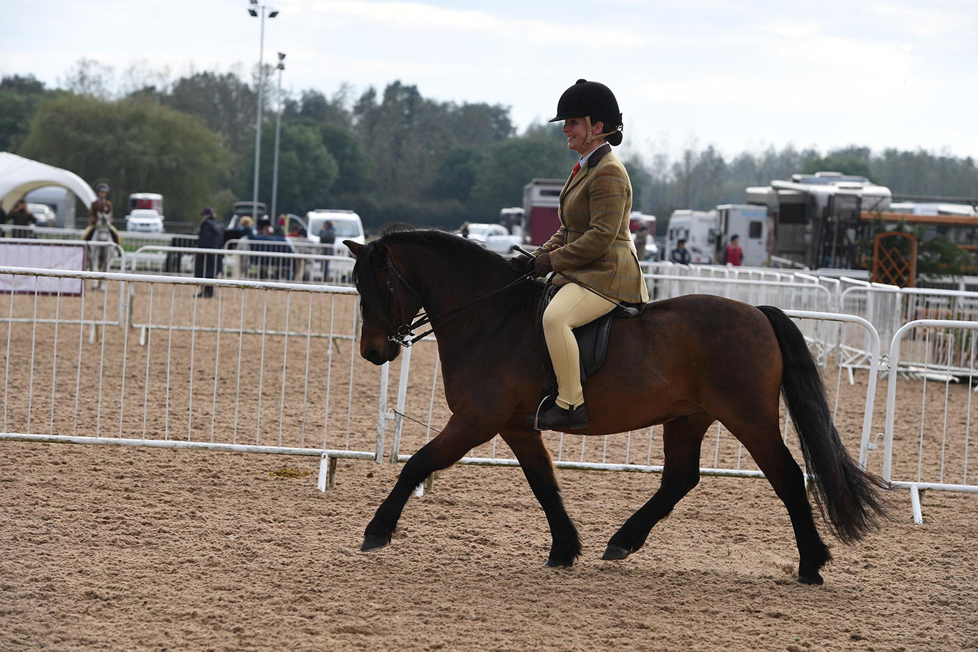 Heritage Show 17.10.21CL 84No. 150 Springwater Guillot Laura Oughton-auker
