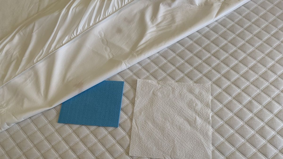Coop Home Goods Ultra Tech Waterproof Mattress Protector review