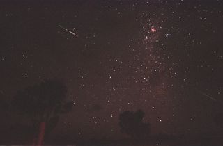 This view from Australia of the 2001 Leonid meteor shower peak shows meteors streaking across the sky at a dazzling rate.