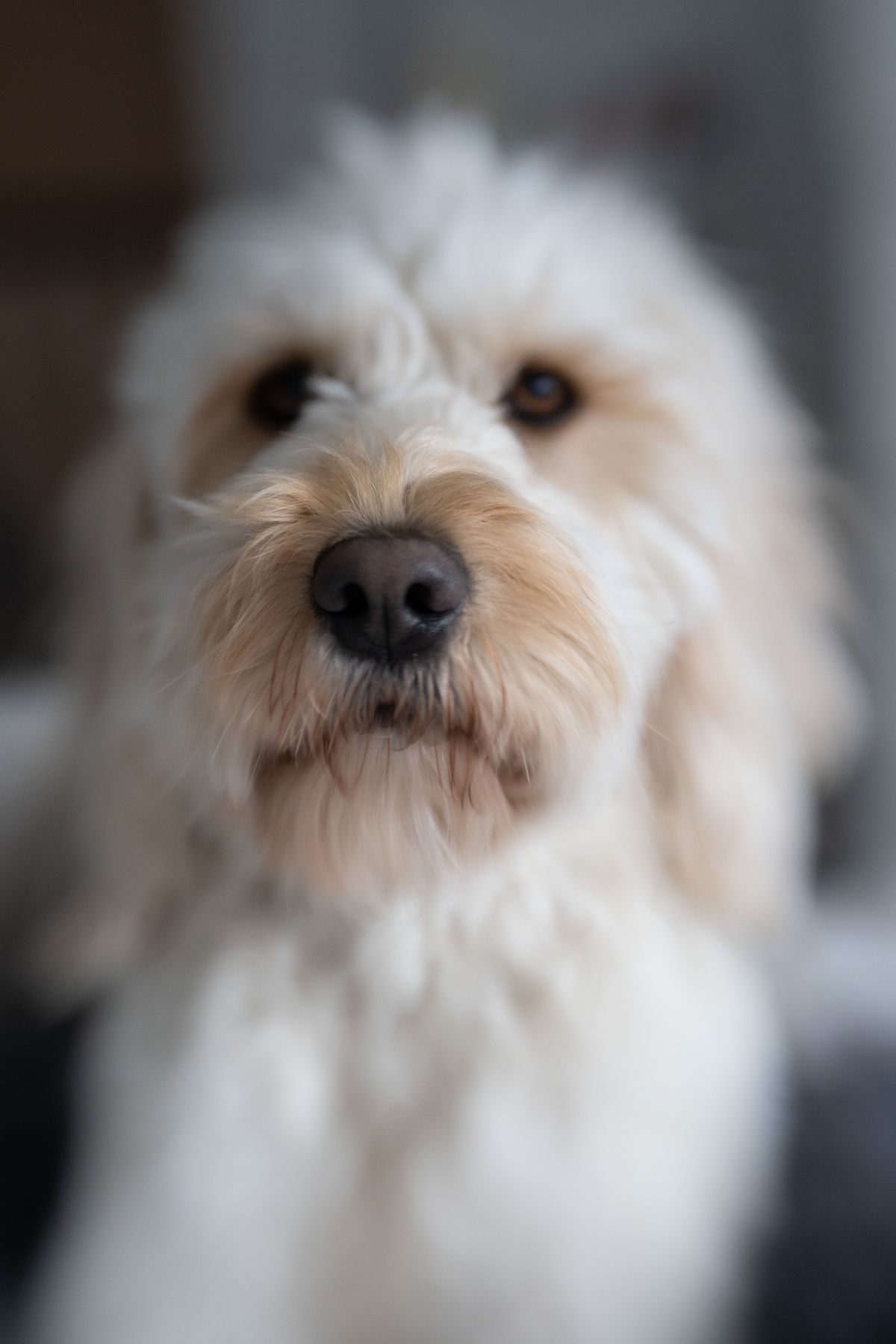 Lensbaby Double Glass II Optic review