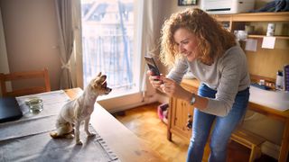 Woman taking photo of Chihuahua on table