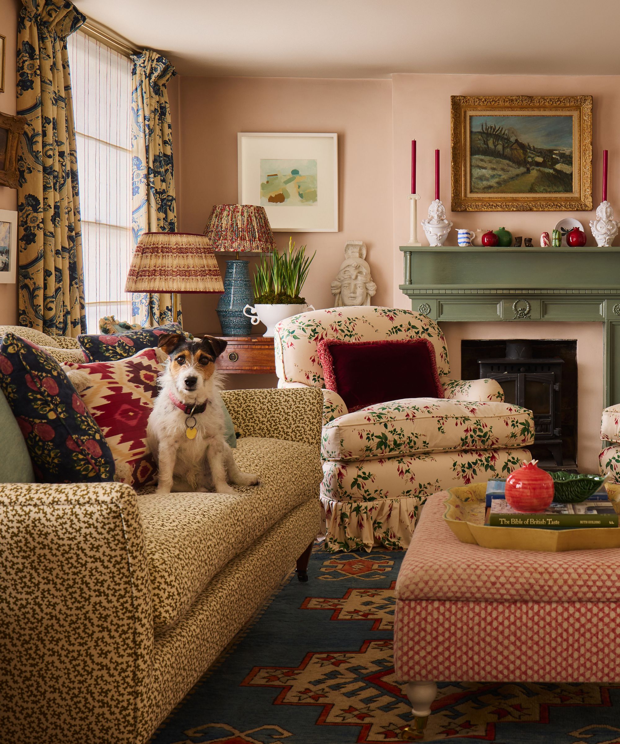 a small dog sitting in a layered english living room painted pink with floral furnishings