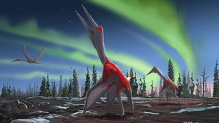 The giant pterosaur Cryodrakon boreas stands before a sky illuminated by the aurora borealis. It lived during the Cretaceous period in what is now Canada.