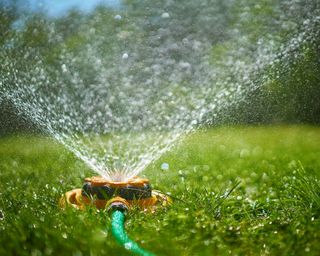 A sprinkler watering a lawn