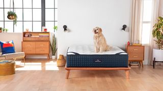 Save up to  599 in the DreamCloud sleep mattress sale ahead of Prime Day - 34