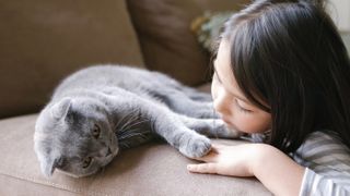 Young girl with her Scottish fold cat