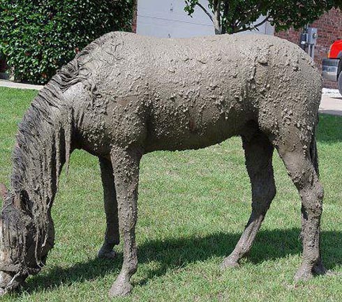 Georgies-Horse-Laundry.jpg