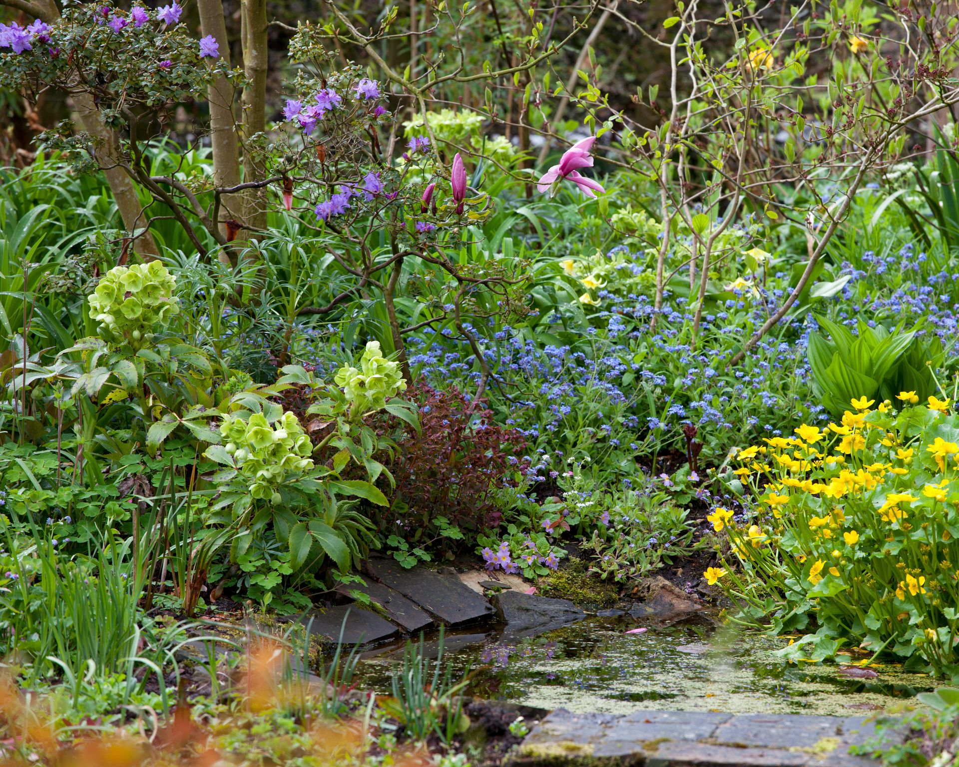 Tour this famed garden designer's English spring garden | Homes & Gardens