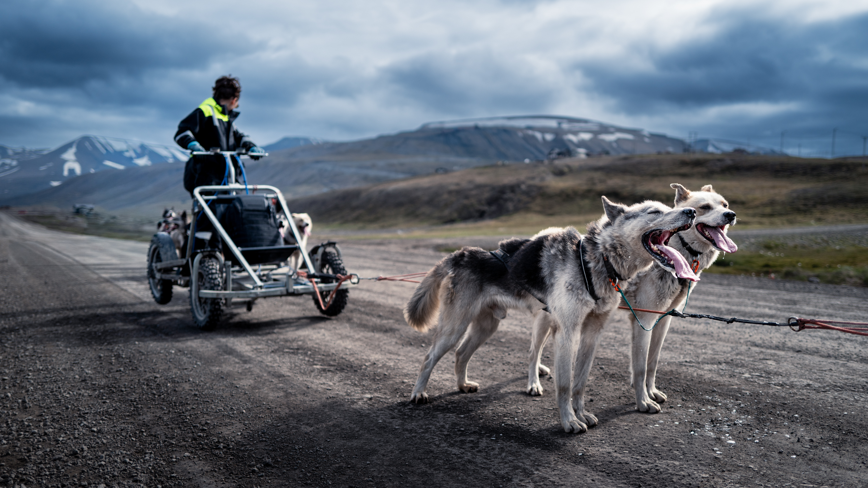 Carting with huskies in Svalbard, Norway