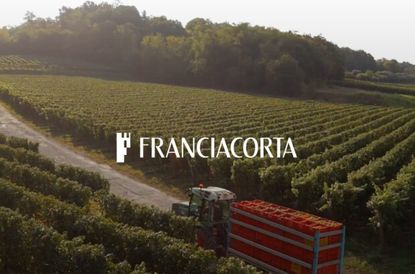 Franci-header-620x410