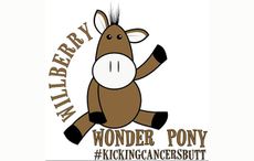 willberry-logo.jpg