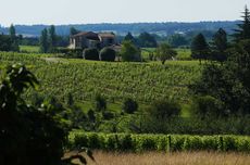 Bergerac wine property for sale