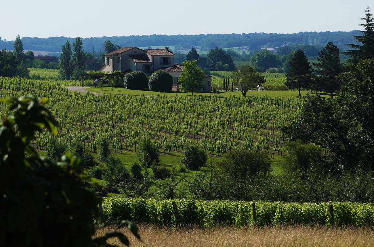 Bergerac wine property for sale