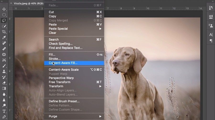 creative cloud download photoshop trial