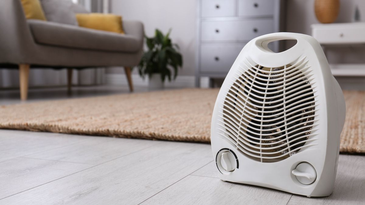 A space heater in a living room next to a rug and sofa