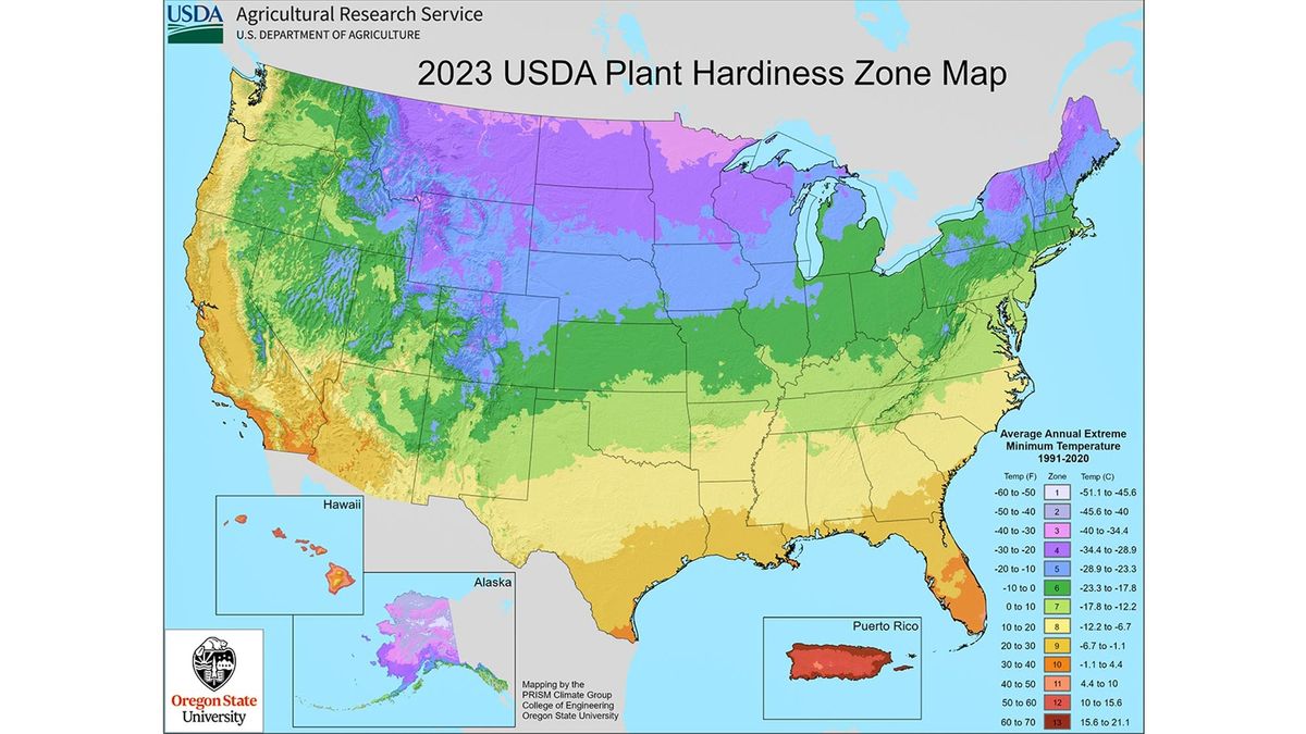 What gardening zone am I in? Here