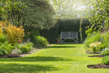 how to mow a lawn: lawn with bench