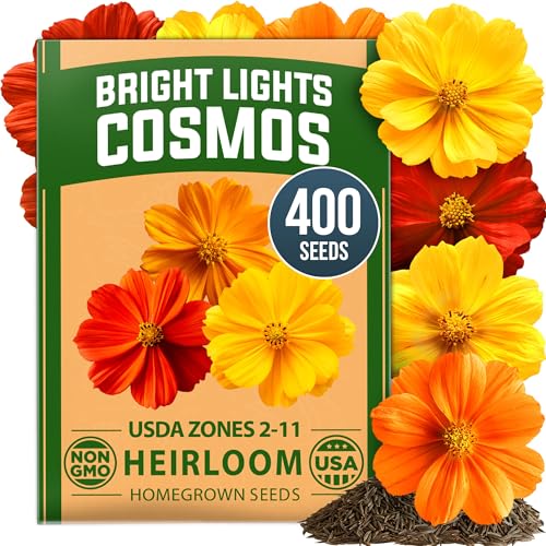 Home Grown Cosmos Bright Lights Mix Seeds &amp;ndash; 400 Cosmos Sulphureus for Planting Spring 2026, Refined Wildflower Herb Seed Mix, Easy Grow Outdoor Flower Seeds for Gardens