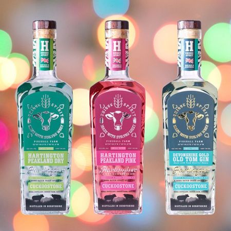 Cheese infused gin
